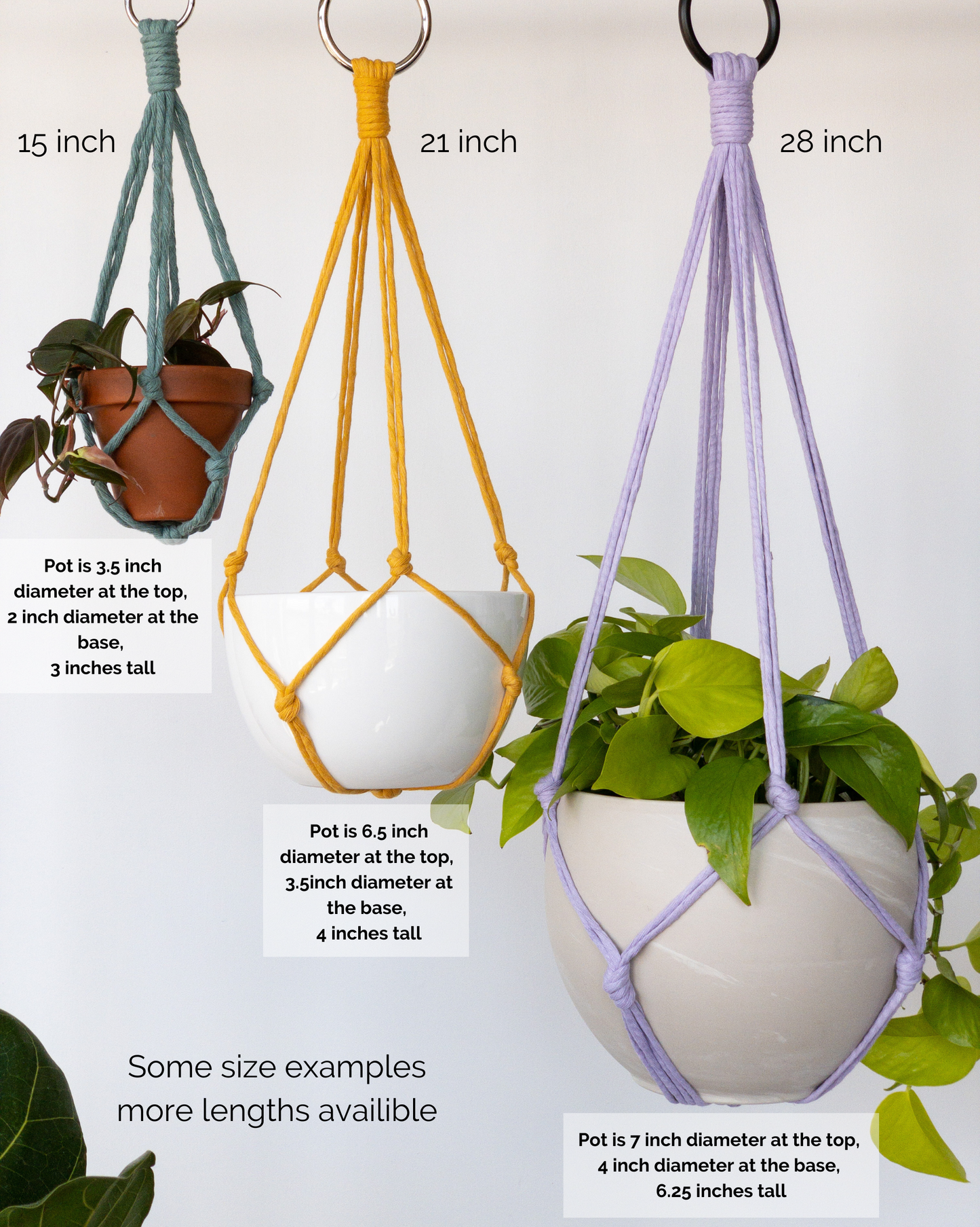 No Tassel Plant Hanger