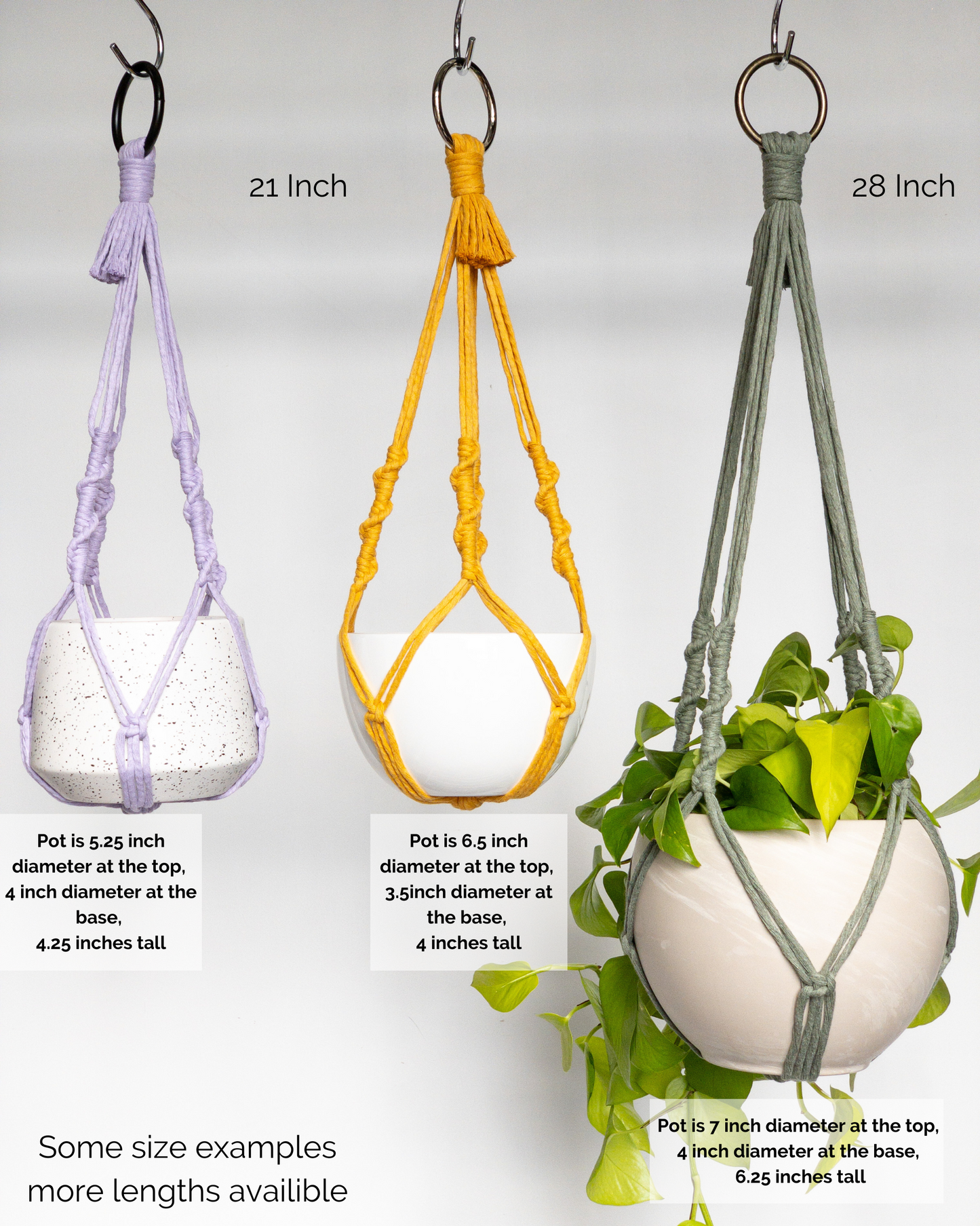 No Tassel Corkscrew Plant Hanger