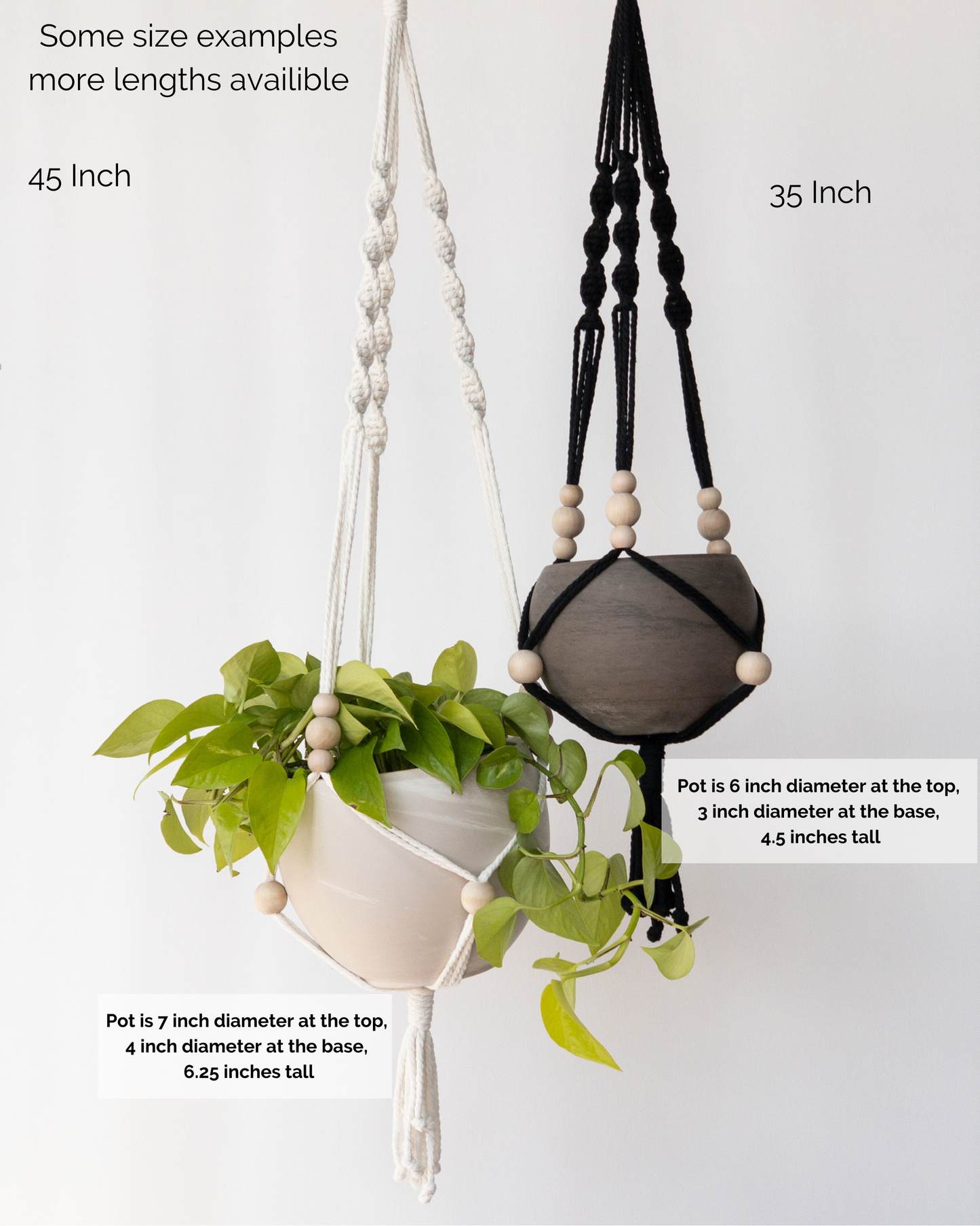 Adjustable Spiral Plant Hanger