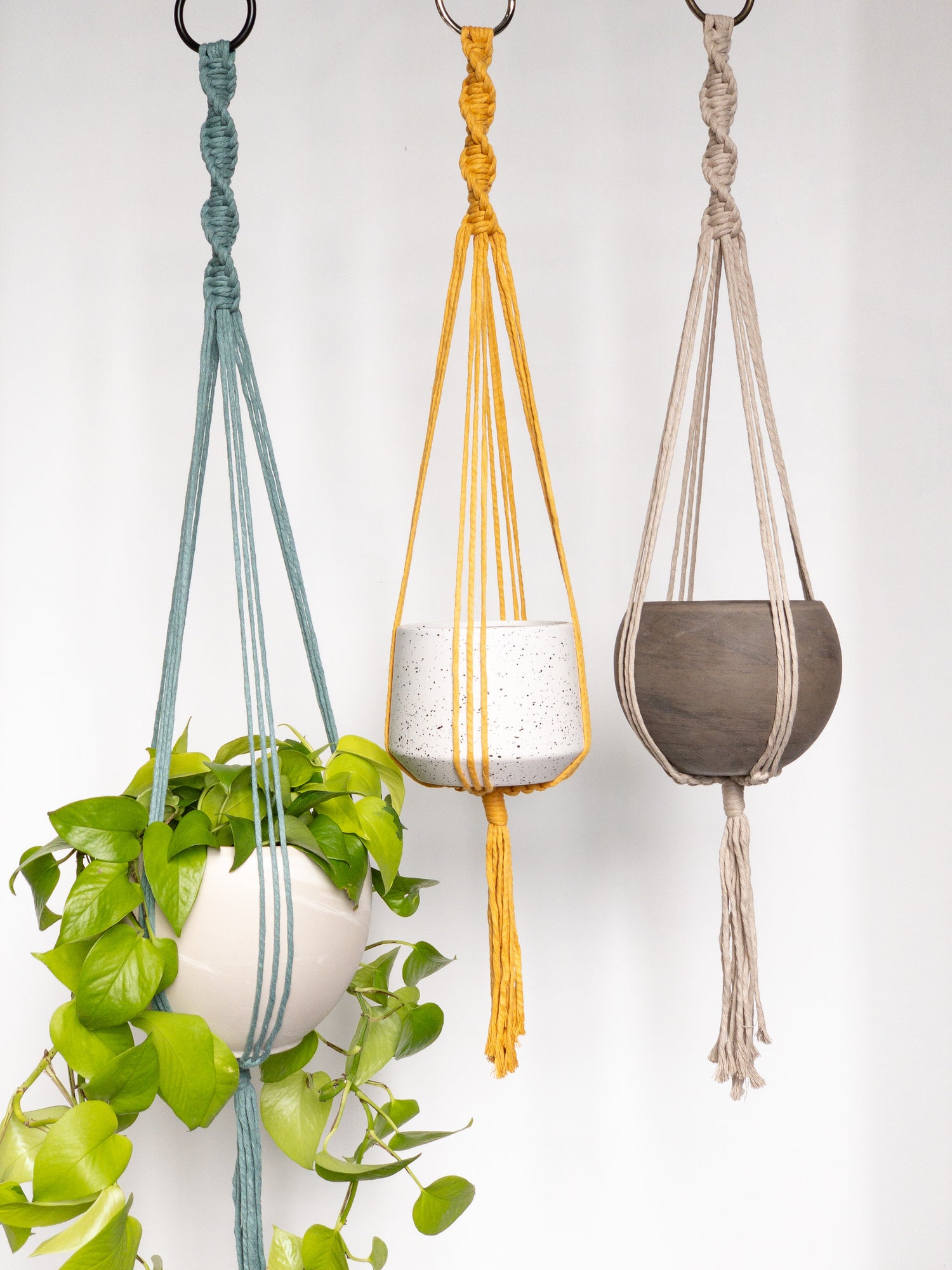 Plant Hangers