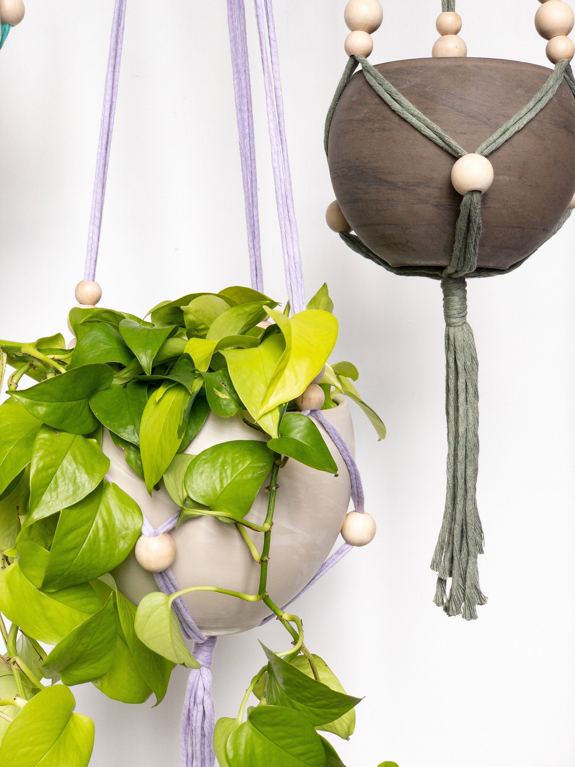 long plant hanger Adjustable Spiral Plant Hanger – Charmed By Knots