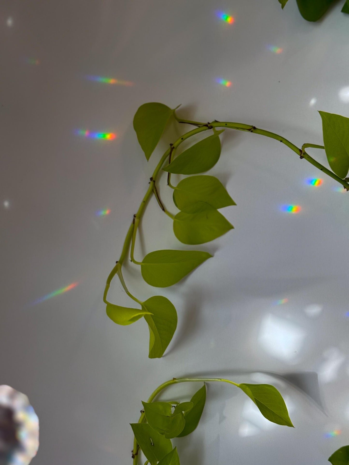 Midcentury Modern Suncatcher, Rainbow Maker, Crystal Prism Sun Catcher, Light Catcher, Hanging Crystal Suncatcher, Sympathy Gift