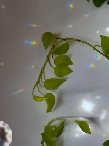 Midcentury Modern Suncatcher, Rainbow Maker, Crystal Prism Sun Catcher, Light Catcher, Hanging Crystal Suncatcher, Sympathy Gift