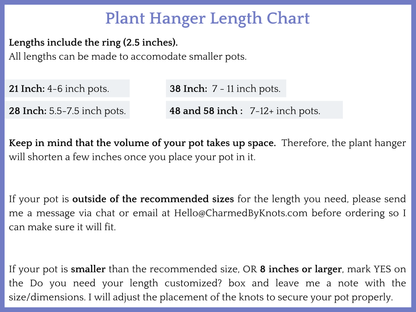 No Tassel Corkscrew Plant Hanger