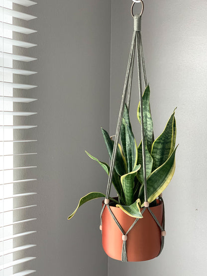 Green Macrame plant hanger without a tassel. 