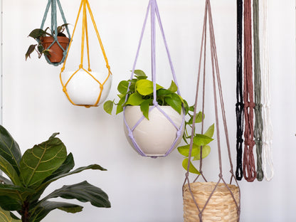 sleek modern macrame plant hangers without a tail in various colors. They have a simple knot connecting the straps to criss cross the pot for support. Colors include teal, yellow, lavender, purple, black, green, white and rosewood