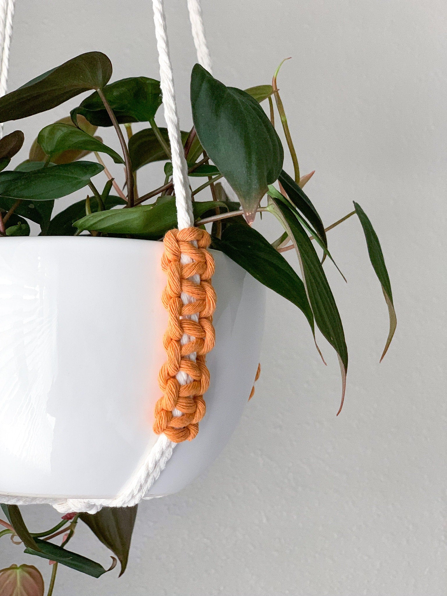 macrame plant hanger no tassel Modern No Tassel Macrame Plant Hanger – Charmed By Knots