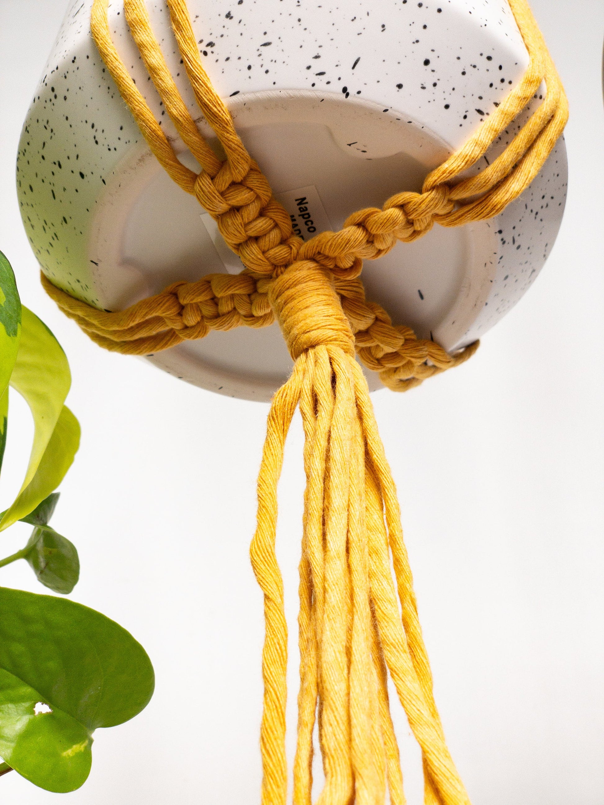knotted hanging plant holder Spiral Macrame Plant Hanger – Charmed By Knots