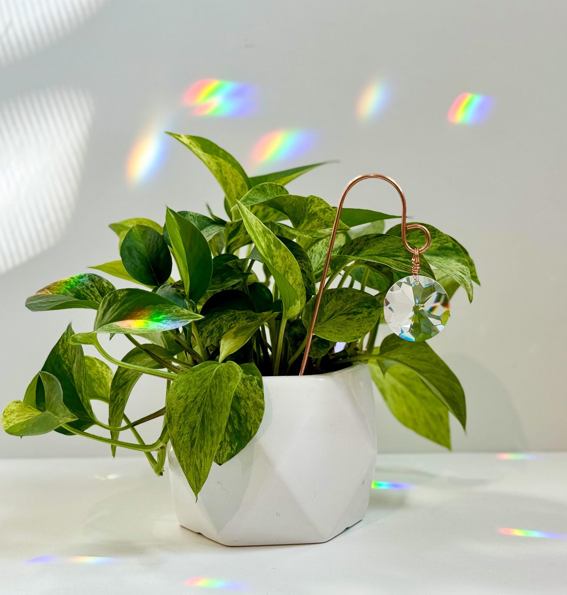 Plant Stake Suncatcher #6 with crystal prism and copper - Plant lover gift, crystal sun catcher, garden stake, plant marker, memorial gift