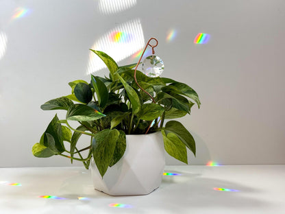 Plant Stake Suncatcher #1 with crystal prism and copper - Plant lover gift, crystal sun catcher, garden stake, plant marker, memorial gift