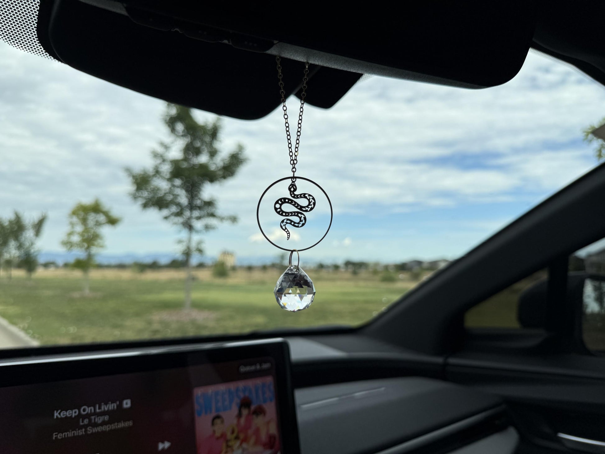 Snake Rearview Mirror Suncatcher, Crystal Sun Catcher, Crystal Prism Car Charm, Rearview Mirror Decoration, Car Mirror Charm