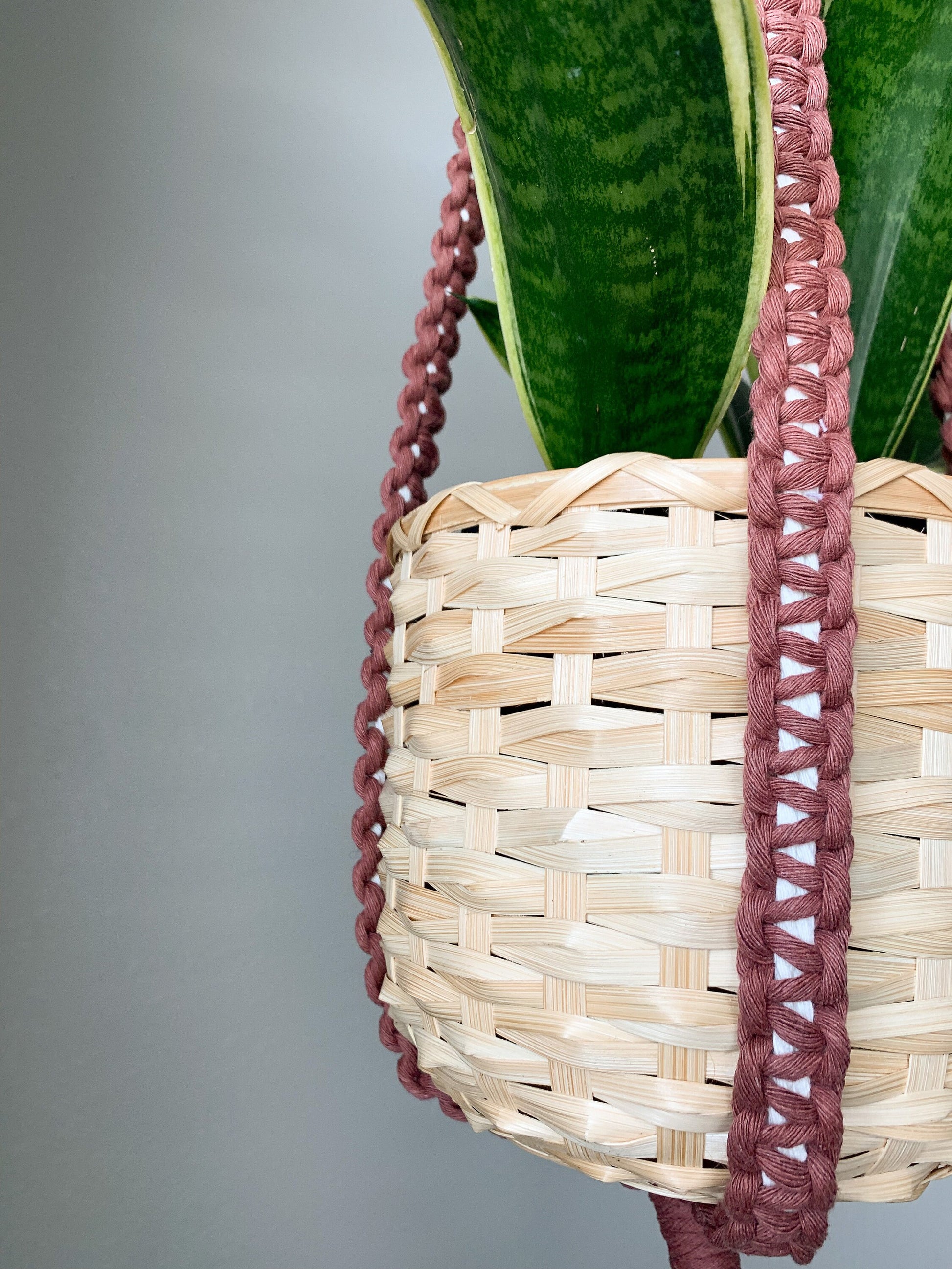 hanging basket rope plant hanger Modern Macrame Plant Hanger – Charmed By Knots