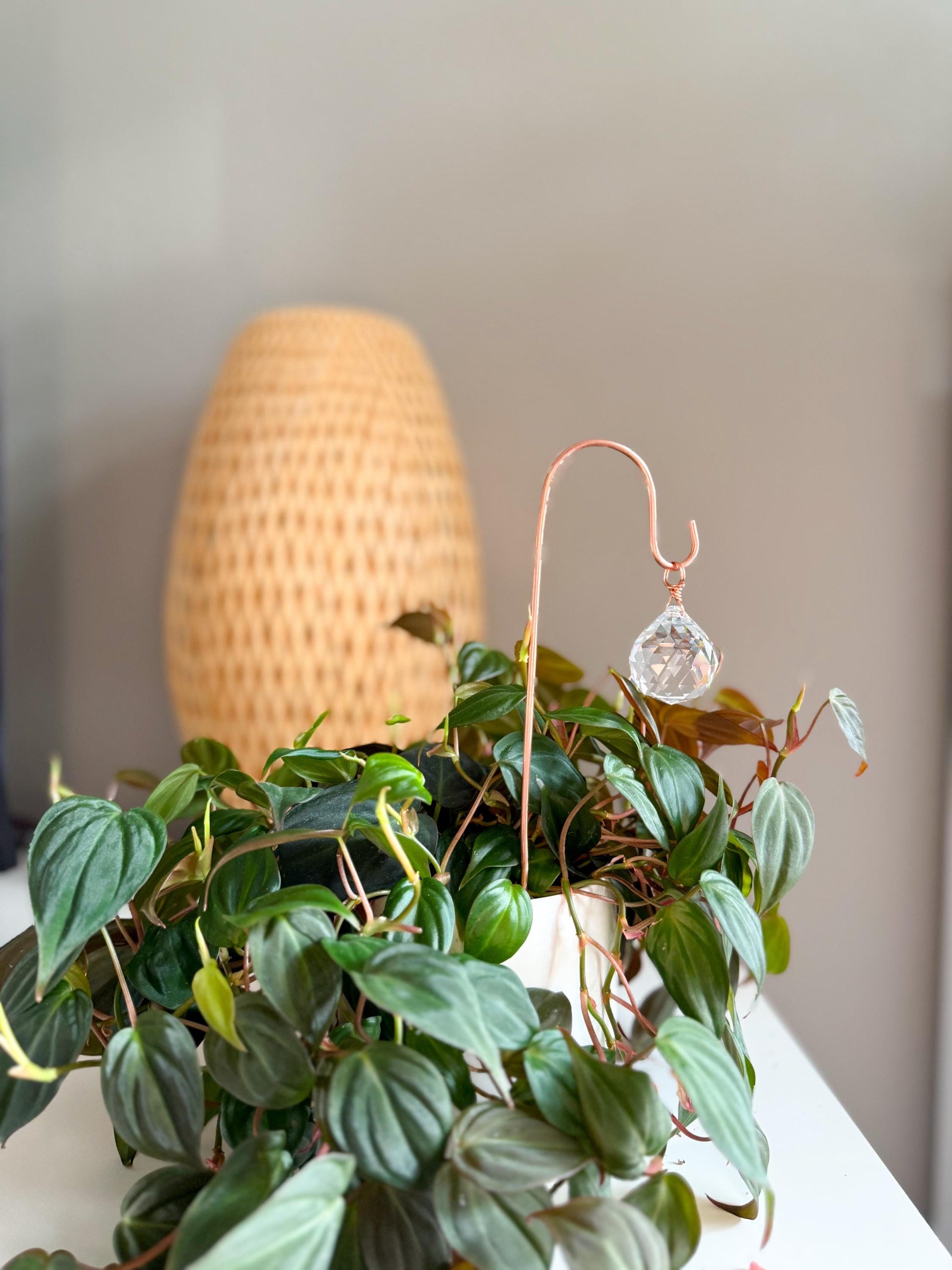 Plant Stake Suncatcher - interchangeable crystals and copper #4 - Plant lover gift, crystal sun catcher, garden stake, plant marker