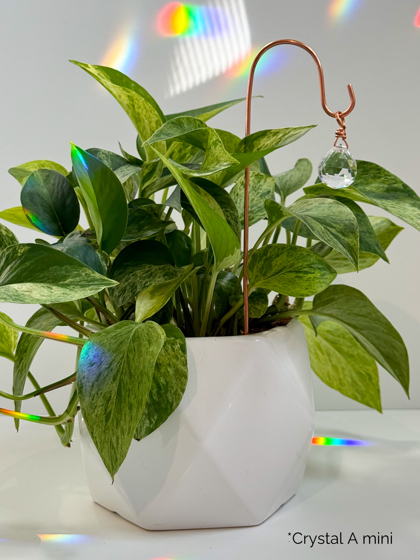 Plant Stake Suncatcher with interchangeable crystals #4