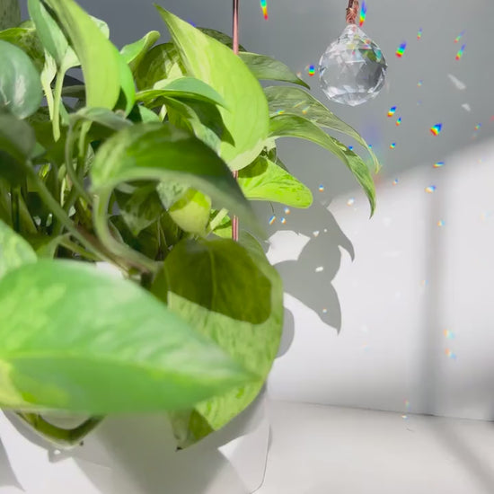 Plant Stake Suncatcher - interchangeable crystals and copper #4 - Plant lover gift, crystal sun catcher, garden stake, plant marker