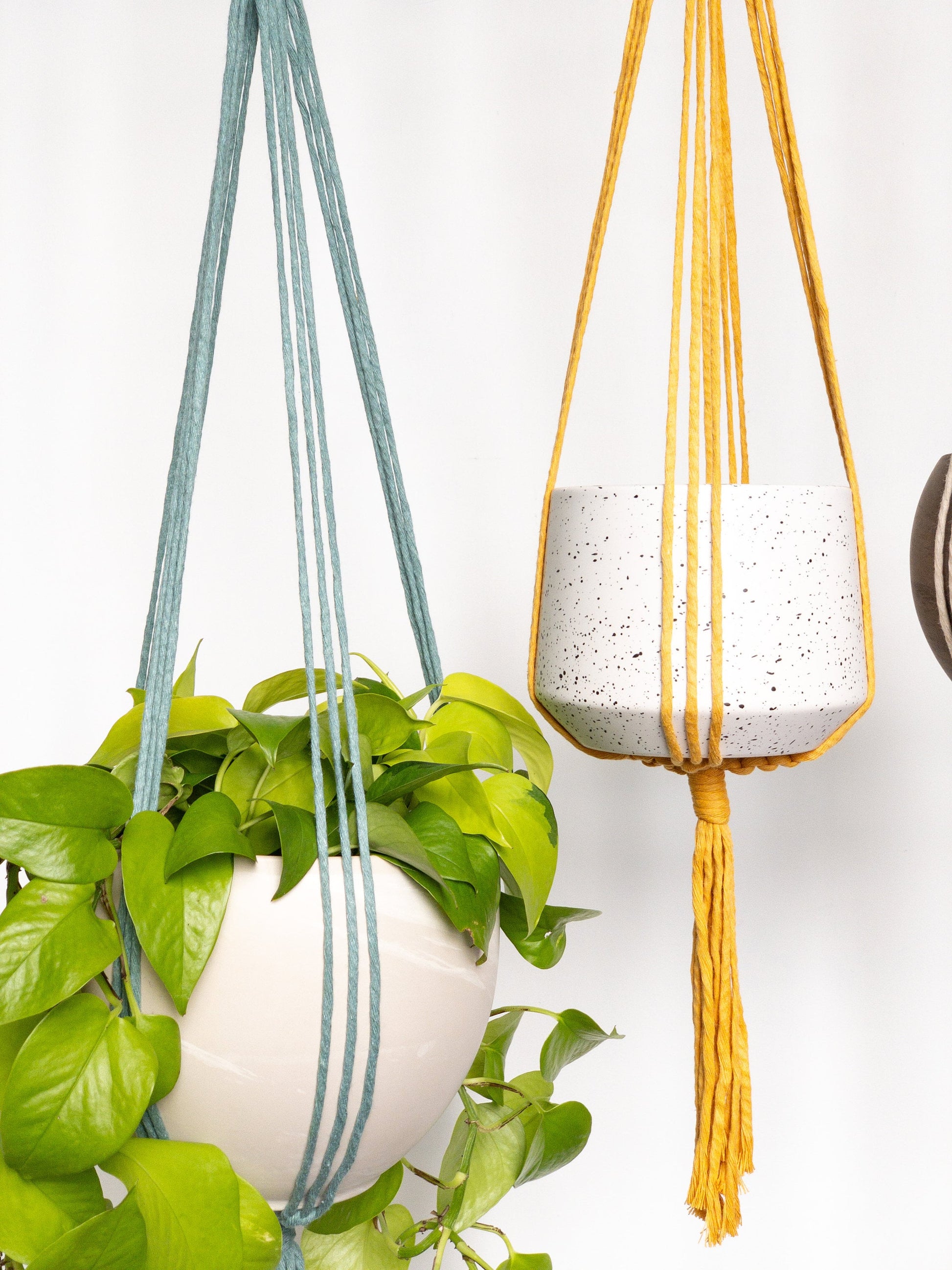 knotted rope hanging planter Spiral Macrame Plant Hanger – Charmed By Knots